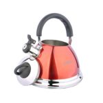 HYY-YY Wang bollitore Gas colorato Whistle Stufa 304 Stainless Steel Kettle Gas Cooker Universale SS40R1 4L