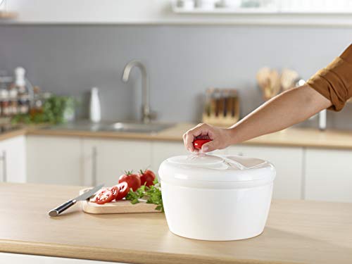 Moulinex K10101 scola Insalata, White, 26×26